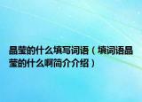 晶莹的什么填写词语（填词语晶莹的什么啊简介介绍）