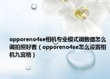 opporeno4se相机专业模式调数值怎么调拍照好看（opporeno4se怎么设置相机九宫格）