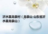沂水县龙泉村（龙泉山 山东省沂水县龙泉山）