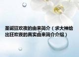 圣诞狂欢夜的由来简介（求大神给出狂欢夜的真实由来简介介绍）