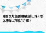 用什么方法最快捕捉到山鸡（怎么捕捉山鸡简介介绍）