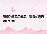 驯良的意思的意思（驯良的意思简介介绍）