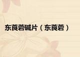 东莨菪碱片（东莨菪）