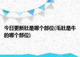 今日更新肚是哪个部位(毛肚是牛的哪个部位)