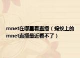 mnet在哪里看直播（蚂蚁上的mnet直播最近看不了）