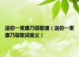 送你一束康乃馨歌谱（送你一束康乃馨歌词意义）