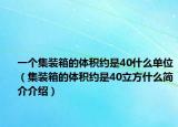 一个集装箱的体积约是40什么单位（集装箱的体积约是40立方什么简介介绍）