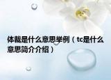 体裁是什么意思举例（tc是什么意思简介介绍）