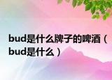 bud是什么牌子的啤酒（bud是什么）