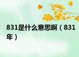 831是什么意思啊（831年）
