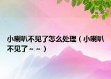 小喇叭不见了怎么处理（小喇叭不见了～～）