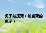 兔子被压死（被坐死的兔子）