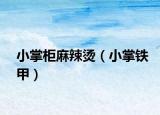 小掌柜麻辣烫（小掌铁甲）
