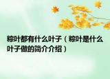 粽叶都有什么叶子（粽叶是什么叶子做的简介介绍）