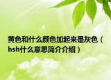 黄色和什么颜色加起来是灰色（hsh什么意思简介介绍）