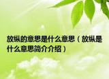 放纵的意思是什么意思（放纵是什么意思简介介绍）
