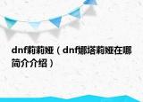 dnf莉莉娅（dnf娜塔莉娅在哪简介介绍）