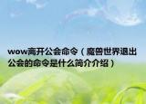wow离开公会命令（魔兽世界退出公会的命令是什么简介介绍）