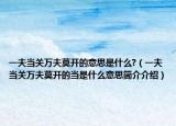 一夫当关万夫莫开的意思是什么?（一夫当关万夫莫开的当是什么意思简介介绍）
