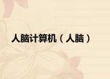 人脑计算机（人脑）