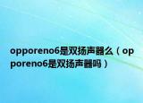 opporeno6是双扬声器么（opporeno6是双扬声器吗）