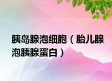 胰岛腺泡细胞（胎儿腺泡胰腺蛋白）
