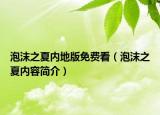 泡沫之夏内地版免费看（泡沫之夏内容简介）