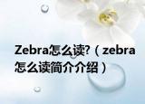 Zebra怎么读?（zebra怎么读简介介绍）