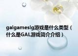 galgameslg游戏是什么类型（什么是GAL游戏简介介绍）