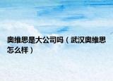 奥维思是大公司吗（武汉奥维思怎么样）