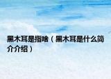 黑木耳是指啥（黑木耳是什么简介介绍）