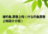 谁钓鱼,愿者上钩（什么钓鱼愿者上钩简介介绍）