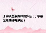 丁字镇至黑麋峰有多远（丁字镇至黑麋峰有多远）