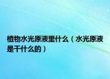 植物水光原液里什么（水光原液是干什么的）