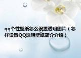 qq个性壁纸怎么设置透明图片（怎样设置QQ透明壁纸简介介绍）