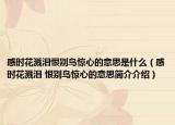 感时花溅泪恨别鸟惊心的意思是什么（感时花溅泪 恨别鸟惊心的意思简介介绍）