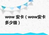 wow 安卡（wow安卡多少级）