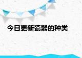 今日更新瓷器的种类