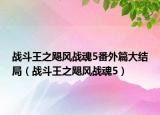 战斗王之飓风战魂5番外篇大结局（战斗王之飓风战魂5）