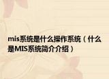 mis系统是什么操作系统（什么是MIS系统简介介绍）