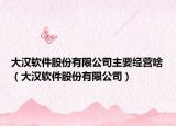 大汉软件股份有限公司主要经营啥（大汉软件股份有限公司）