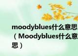 moodyblues什么意思（Moodyblues什么意思）