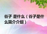 谷子 是什么（谷子是什么简介介绍）
