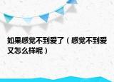如果感觉不到爱了（感觉不到爱又怎么样呢）