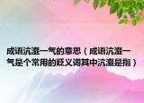 成语沆瀣一气的意思（成语沆瀣一气是个常用的贬义词其中沆瀣是指）