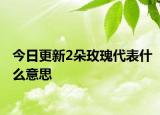 今日更新2朵玫瑰代表什么意思