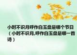小时不识月呼作白玉盘是哪个节日（小时不识月,呼作白玉盘是哪一首诗）