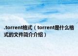 .torrent格式（torrent是什么格式的文件简介介绍）