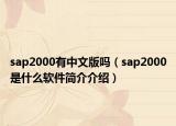 sap2000有中文版吗（sap2000是什么软件简介介绍）