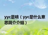 yyc是啥（yyc是什么意思简介介绍）